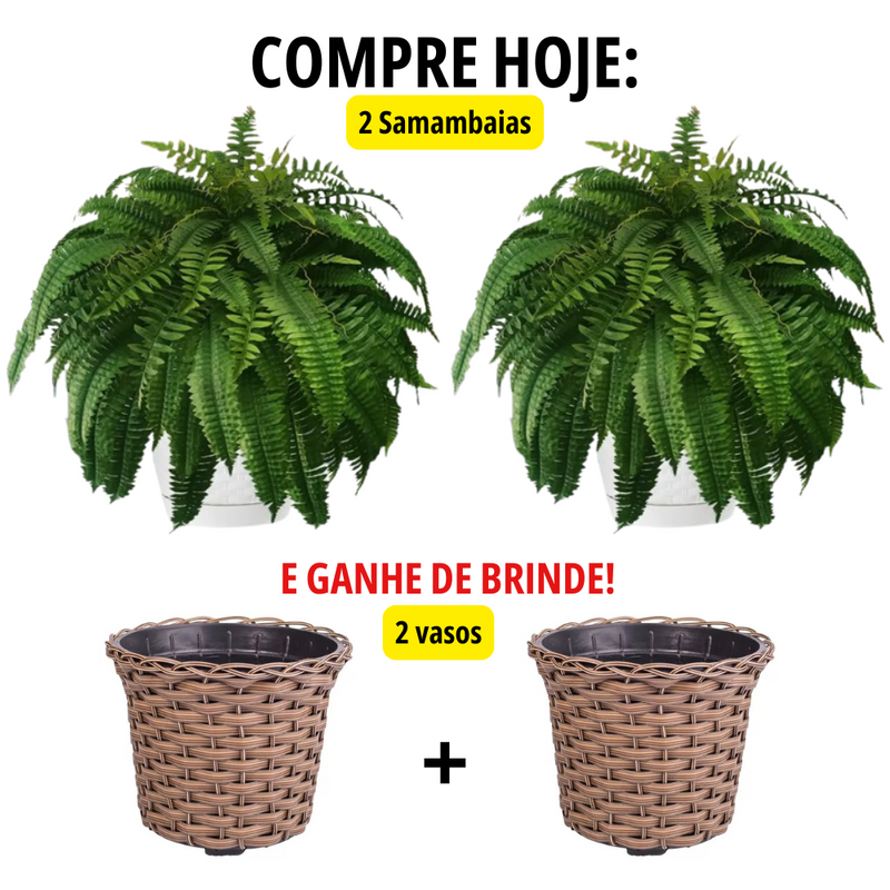 Kit de Samambaia Artificial Realista + Vasos - Paisamax