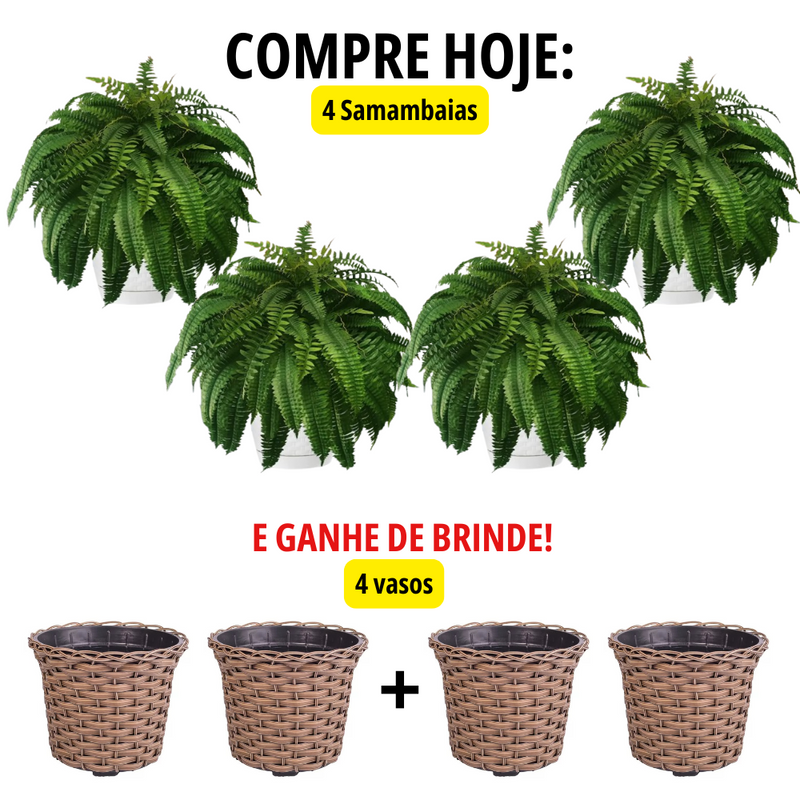 Kit de Samambaia Artificial Realista + Vasos - Paisamax